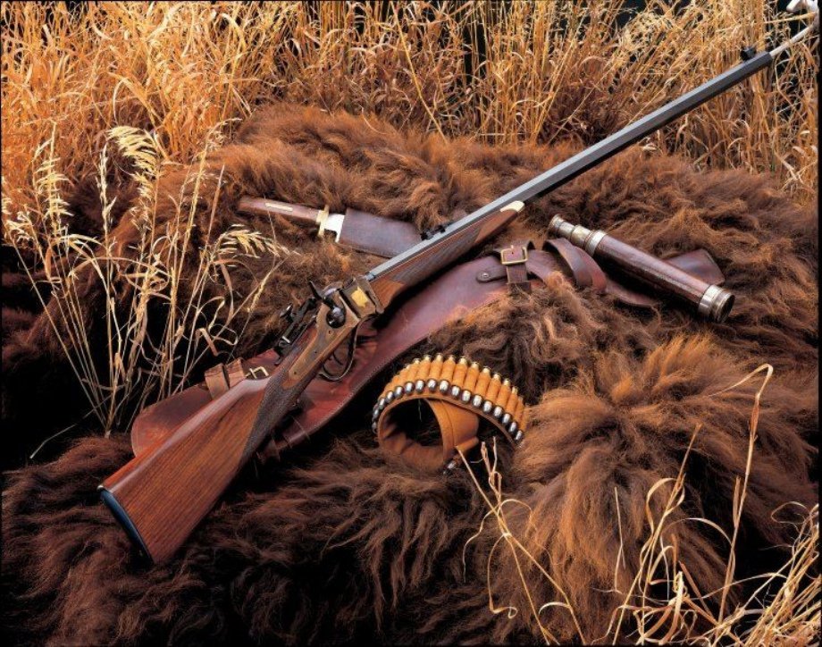 Посвідчення мисливця за хабар: у Держлісагентстві провели обшуки