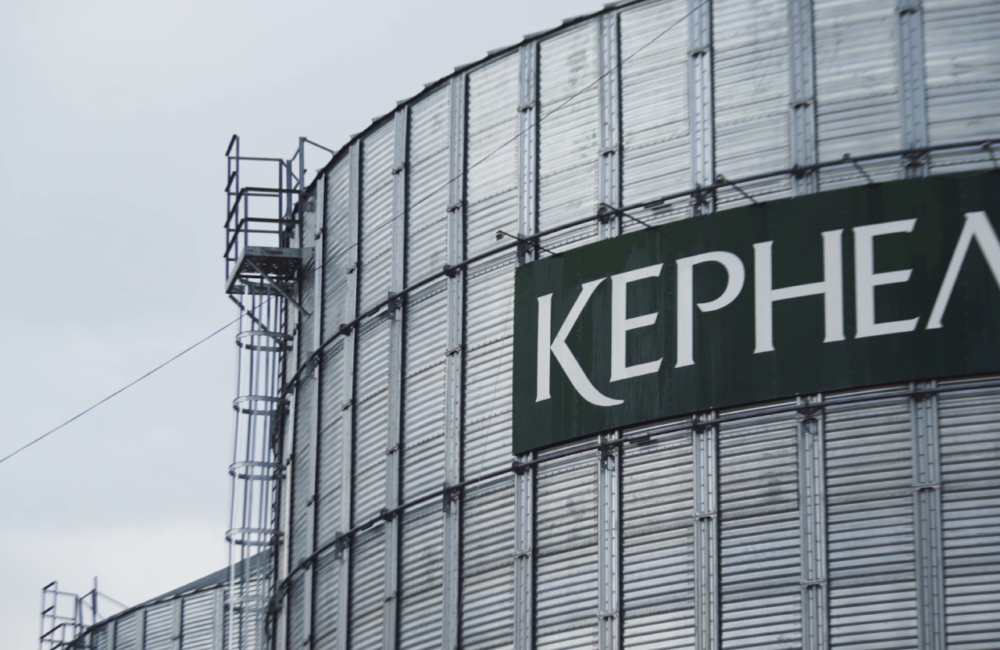 Держава втратила 1,5 мільярда на оборудках “Кернел”