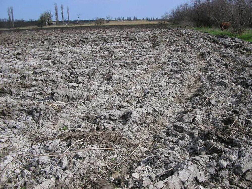 У мулі Каховського водосховища знайшли небезпечні метали