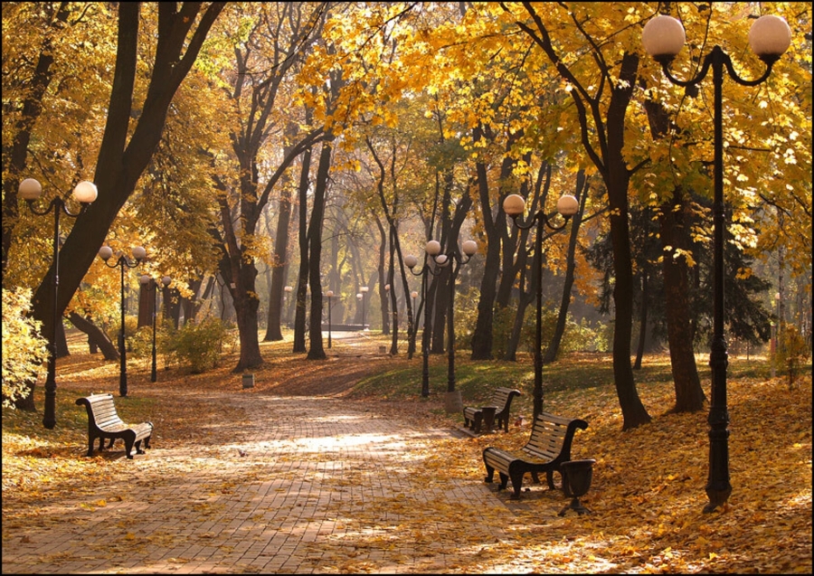 Прогноз погоди в Україні на кінець вересня: сухо та прохолодно під впливом антициклону