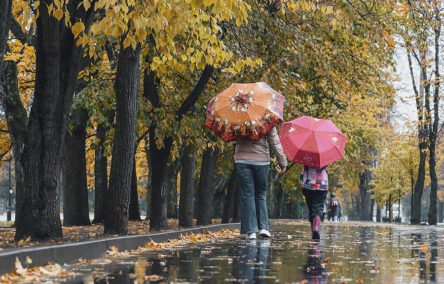 Осінній похолодання: перші дощі та зниження температури в Україні