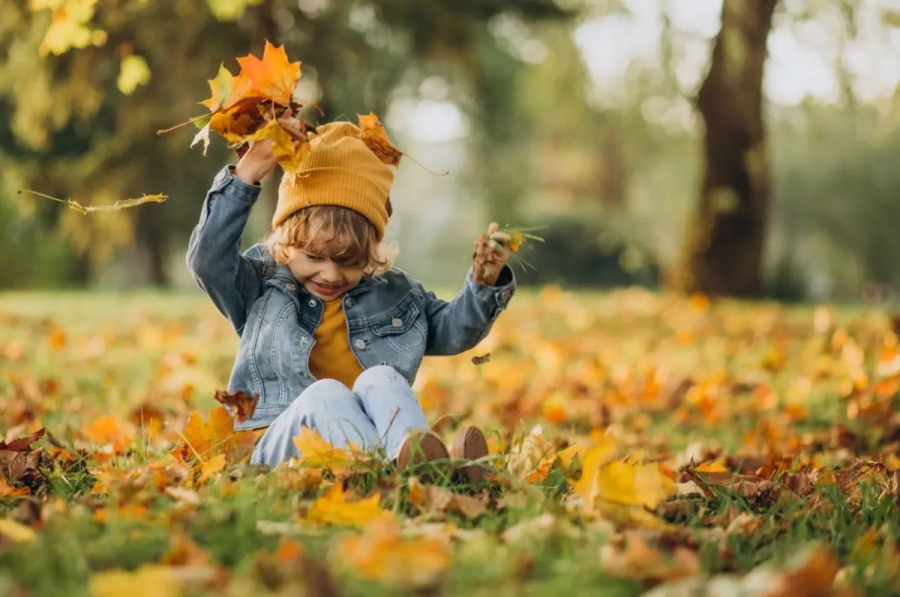 1 листопада: важливі події та традиції