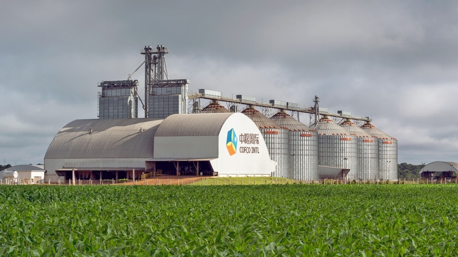 COFCO у центрі фінансового скандалу: звинувачення у фіктивних зернових операціях та офшорних схемах