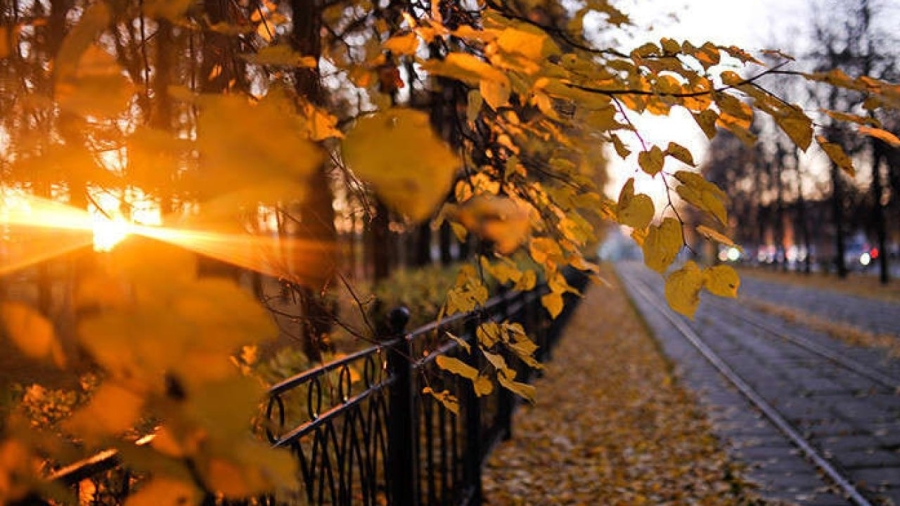 Календар 17 листопада: міжнародні ініціативи, медичні нагадування та українські традиції