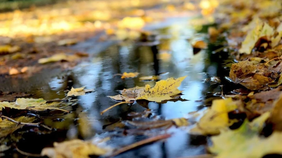 Погіршення погоди в Україні 16 листопада: дощі та зниження температури