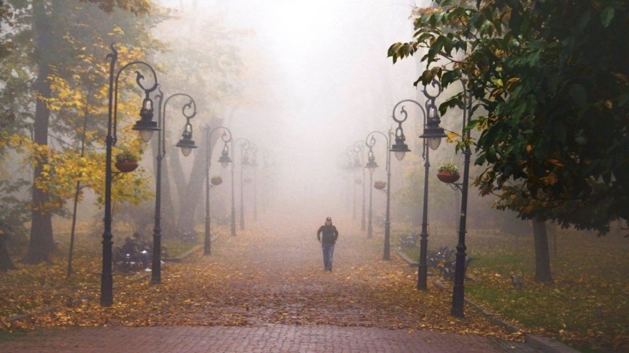 Погода в Україні 9 листопада: хмарно з дощами та температурними коливаннями