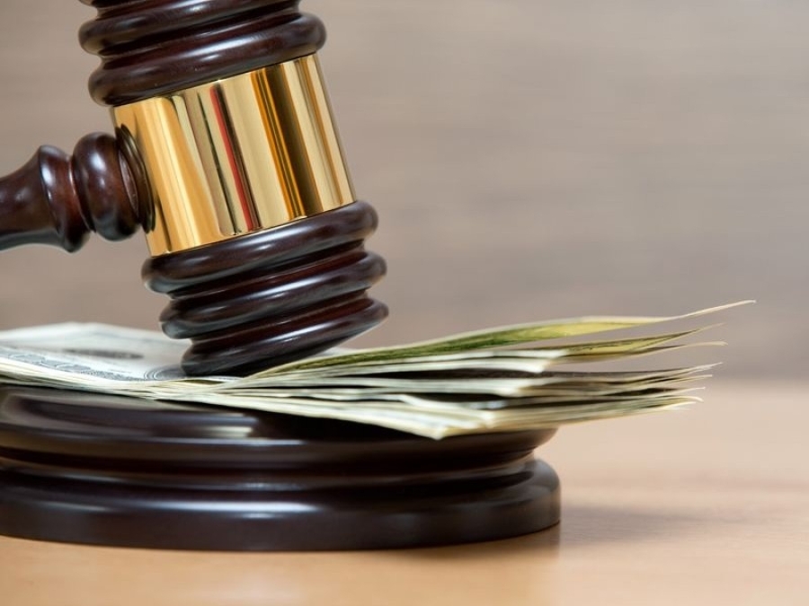 Суд у Тернополі оштрафував жінку за утримання надмірної кількості собак