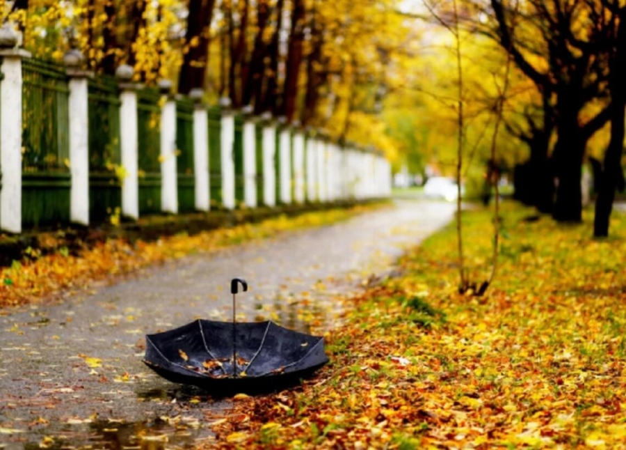 Тепла повітряна маса з півдня формує аномально м’яку погоду в Україні 26 листопада