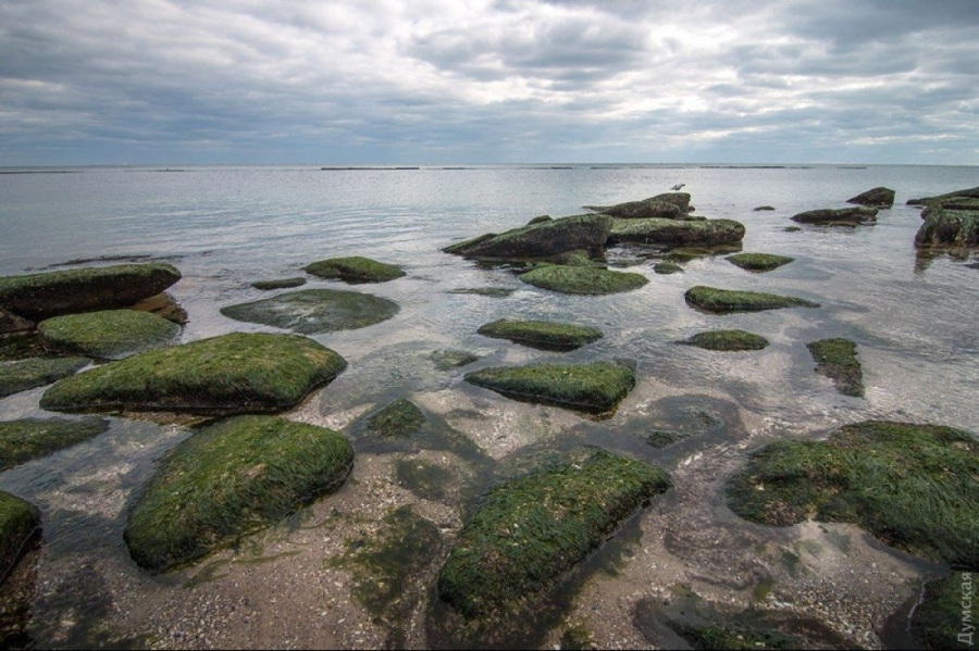 Ваше останнє повідомлення обірвалося — я не бачу тексту, на основі якого потрібно створити новий розширений матеріал.