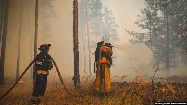 Радіаційний фон на Чернігівщині підвищився через великі пожежі в Чорнобильській зоні